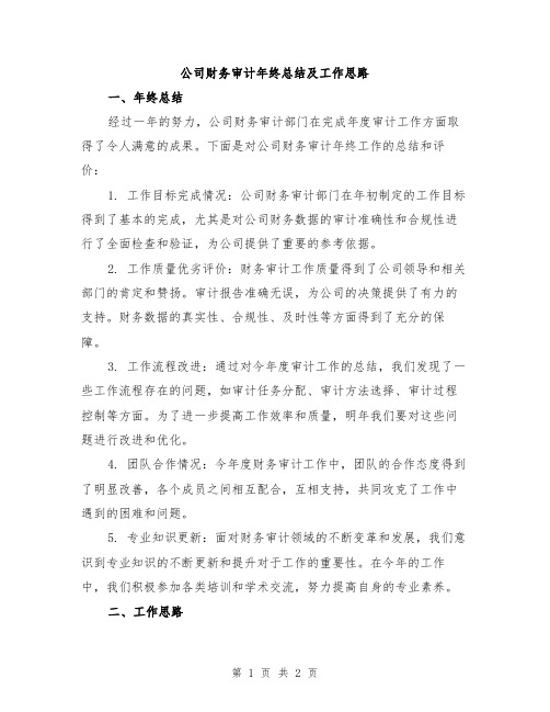 公司财务审计年终总结及工作思路