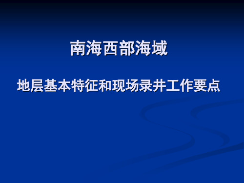 0803南海西部海域基本地质特征