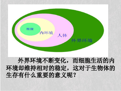 人教版高中生物必修三第1章第2节 内环境稳态的重要性  课件(共40张PPT)