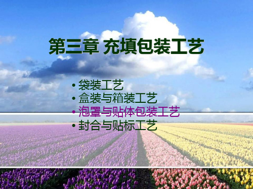 第三章-充填包装工艺PPT课件