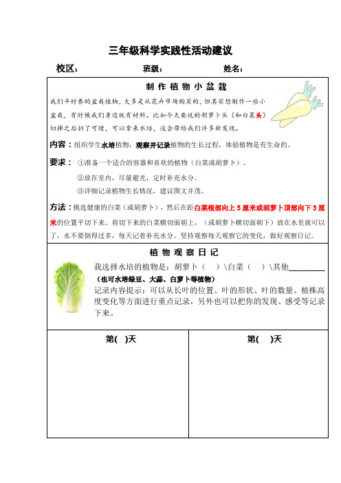 三年级科学实践活动水培植物记录模板