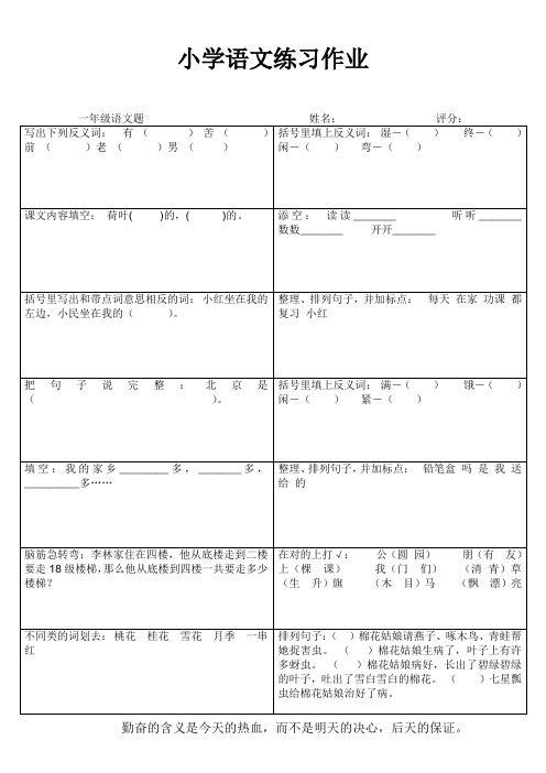 小学一年级语文课后作业42