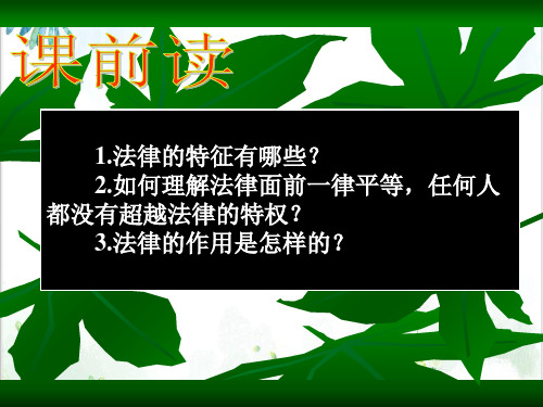 法律伴我们成长法律为我们护航部编版【教材】七年级下册道德与法治-教学课件PPT