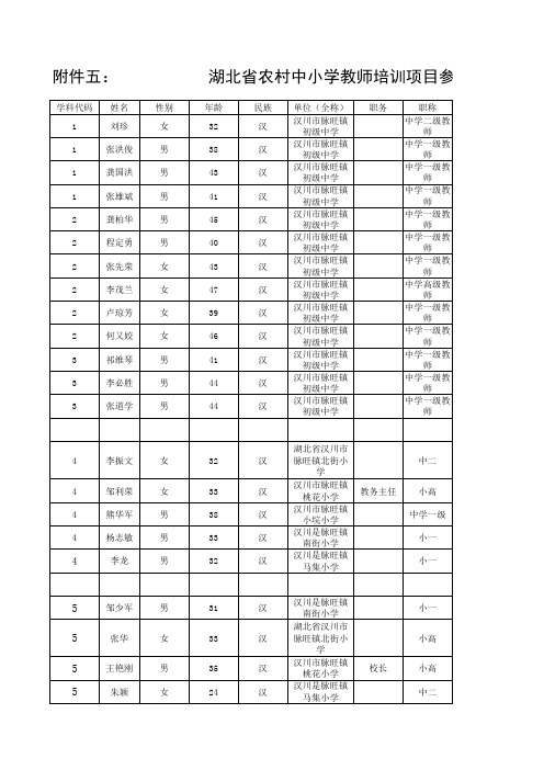 脉旺农村中小学教师培训项目参训学员信息汇总Book1