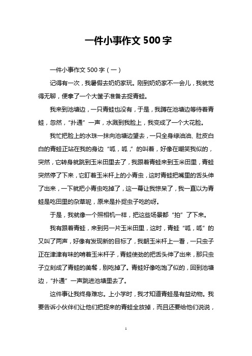 一件小事作文500字