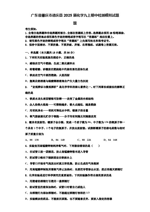 广东省肇庆市德庆县2025届化学九上期中检测模拟试题含解析