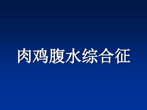 肉鸡腹水综合症