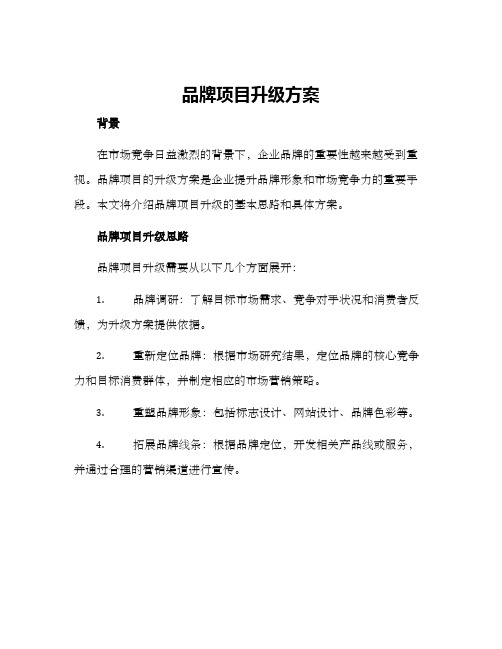 品牌项目升级方案