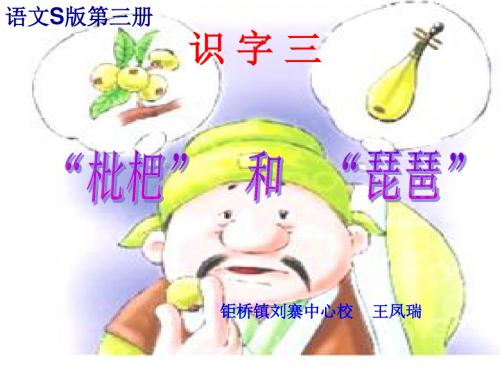 识字三枇杷和琵琶课件 (2)