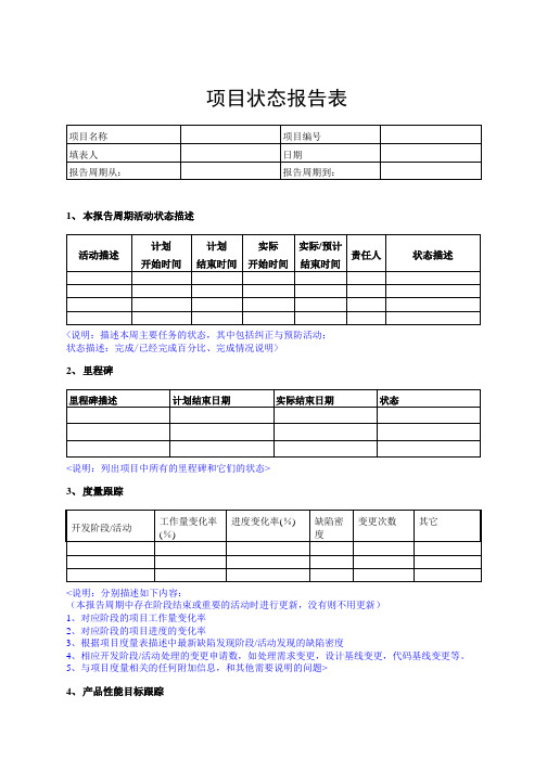 项目状态报告