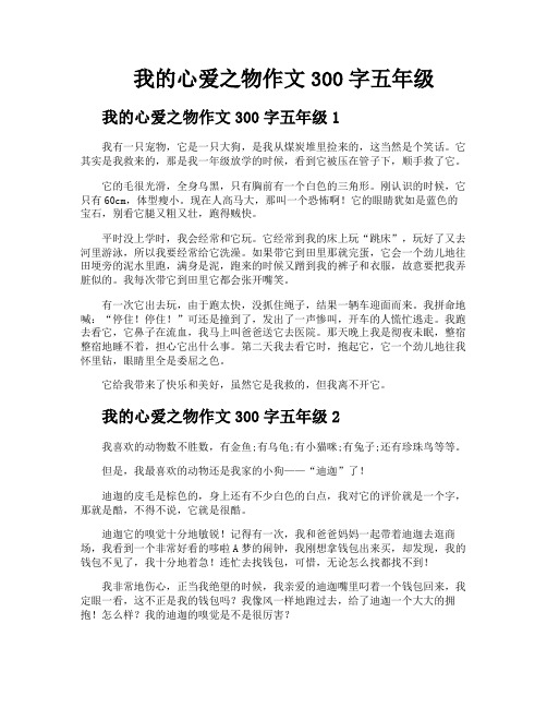 我的心爱之物作文300字五年级