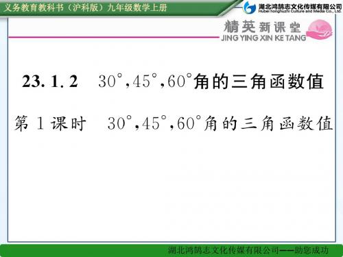 第1课时  30°,45°,60°角的三角函数值