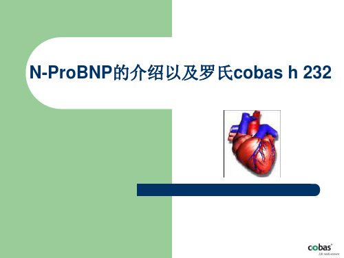 n-probnp以及罗氏cobash232资料教程