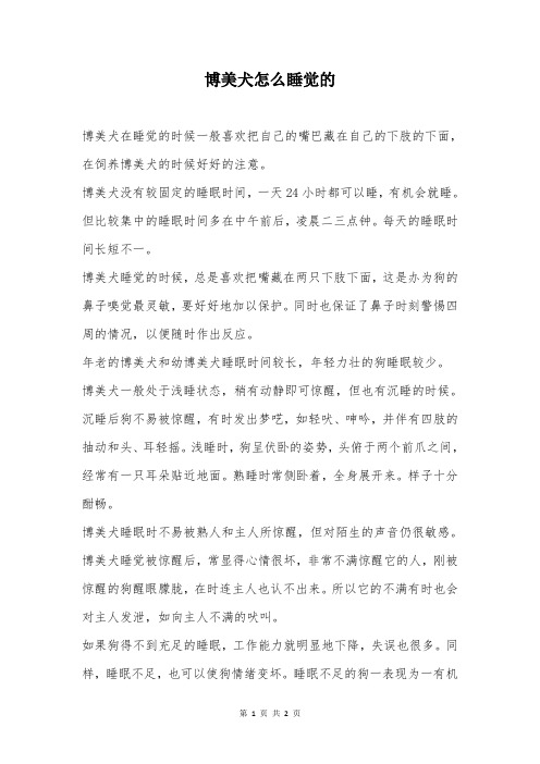 博美犬怎么睡觉的