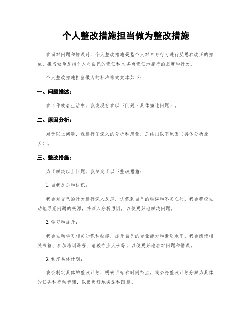 个人整改措施担当作为整改措施