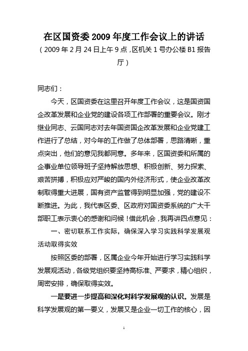 在区国资委2009年度工作会议上的讲话1