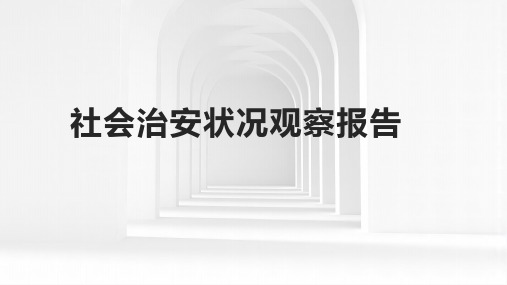 社会治安状况观察报告