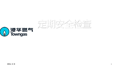 户内燃气安全检查简介 ppt课件