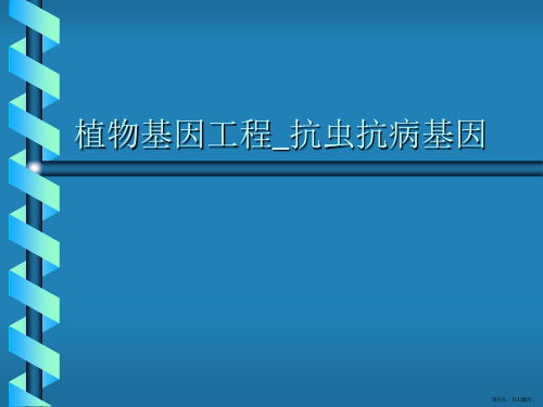 植物基因工程_抗虫抗病基因