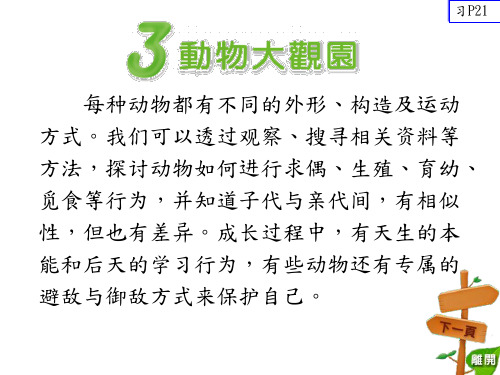 自然与生活科技习作-动物大观园