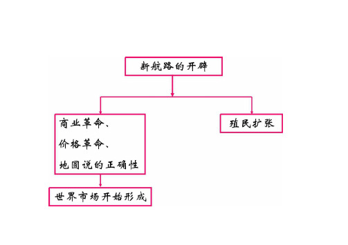 必修二专题五第二节___血与火的征服与掠夺.doc