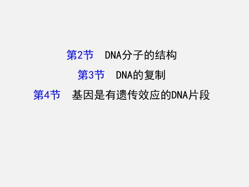 高考生物 一轮复习 2.3.2-2.3.4DNA分子的结构