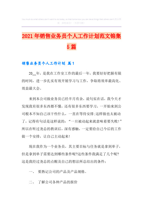 2021年销售业务员个人工作计划范文锦集5篇