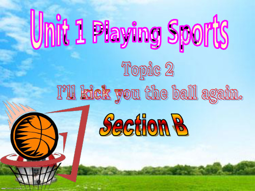 新科普版八年级英语上册《Topic 2 I'll kick you the ball again.  Section B》优质课课件_8