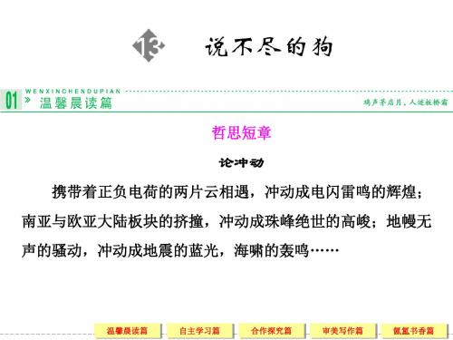 2013-2014学年高中语文粤教版必修二13说不尽的狗