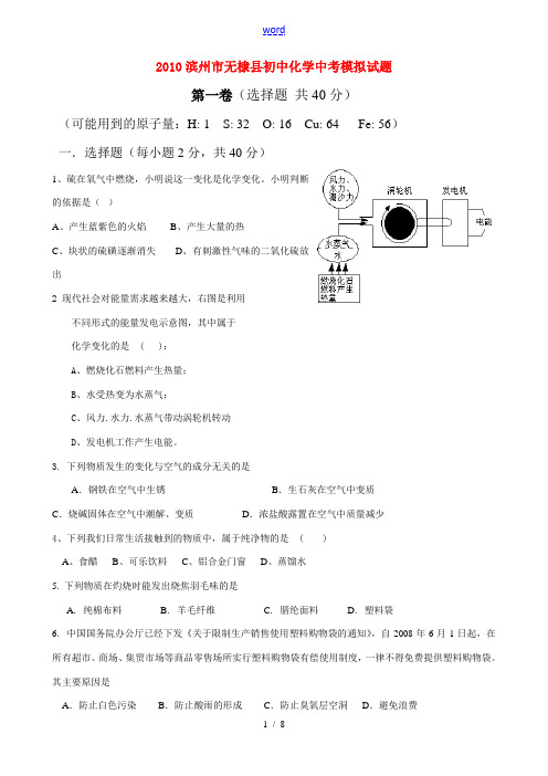 山东省滨州市无棣县2010中考化学 模拟题一