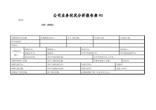 公司业务状况分析报告表01