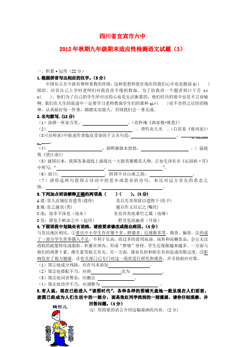 四川省宜宾市秋期九年级语文期末适应性检测试题(3) 新人教版