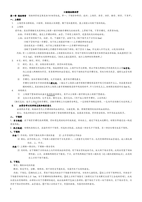 口腔颌面解剖学复习重点