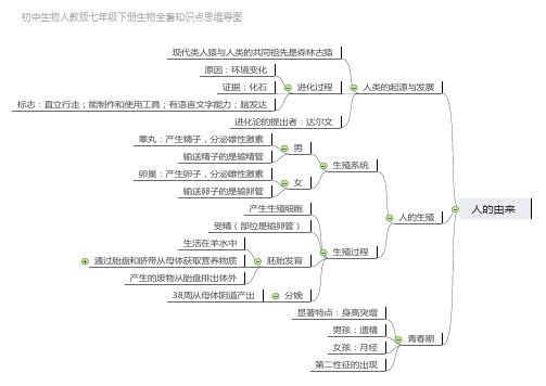 初中生物人教版七年级下册生物全套知识点思维导图