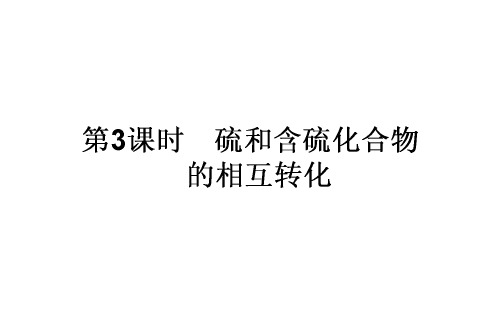 苏教版必修1 第1单元 含硫化合物的性质和应用(第3课时) 课件(31张)(1)