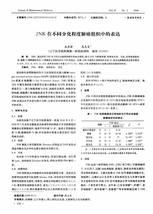 JNK在不同分化程度肺癌组织中的表达