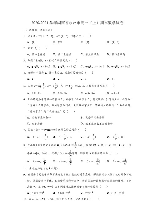 湖南省永州市2020-2021学年高一上学期期末考试数学试题 (解析版)