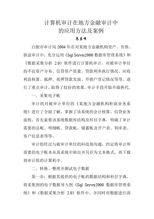 计算机审计在地方金融审计中的应用方法及案例