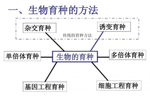 生物的育种