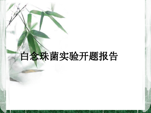 白念珠菌实验开题报告ppt课件