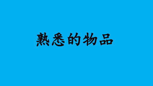 熟悉的物品 课件 2022—2023学年苏少版初中美术七年级上册