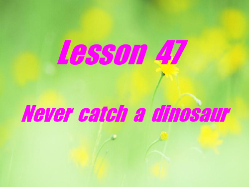 never catch a dinosaurPPT教学课件