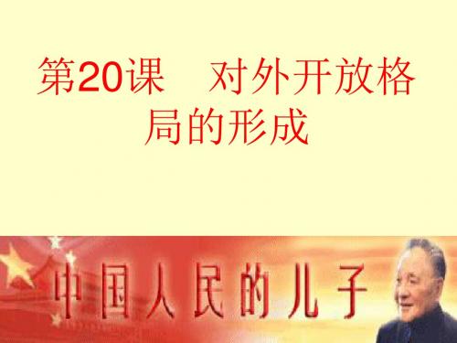 对外开放格局的形成 PPT课件13 岳麓版