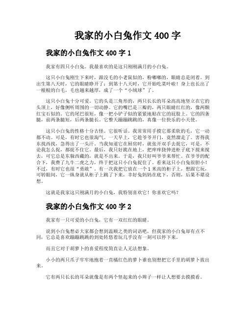 我家的小白兔作文400字