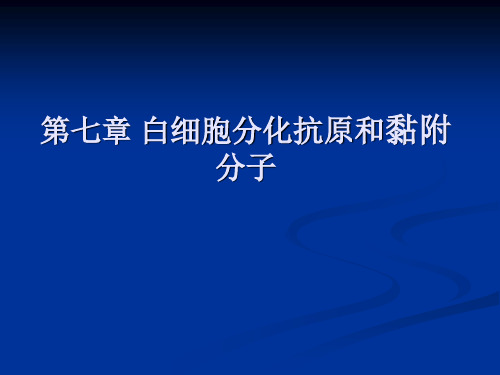 白细胞分化抗原与黏附因子