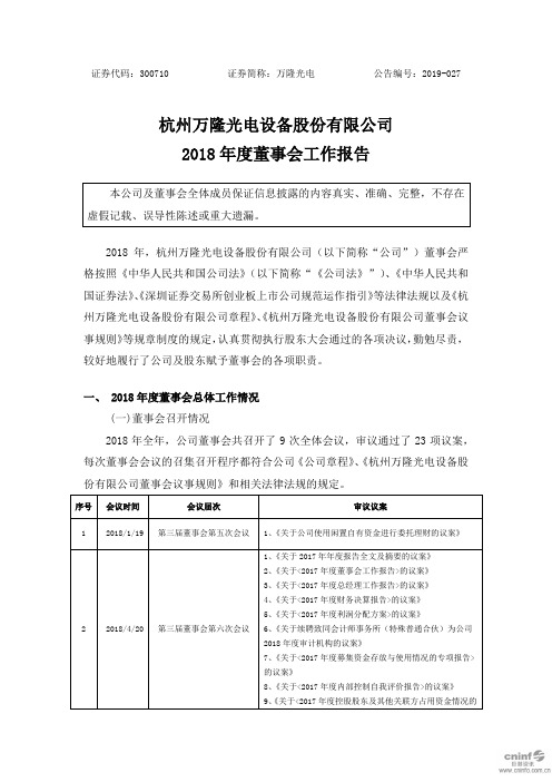 杭州万隆光电设备股份有限公司2018年度董事会工作报告