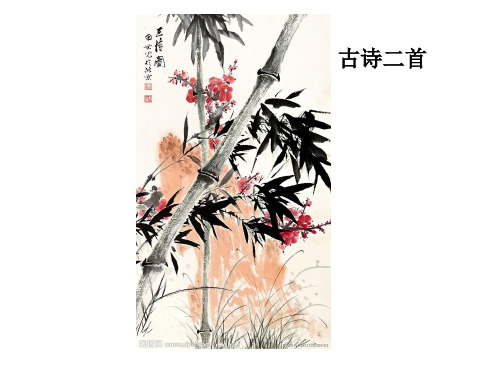 13古诗二首 竹石