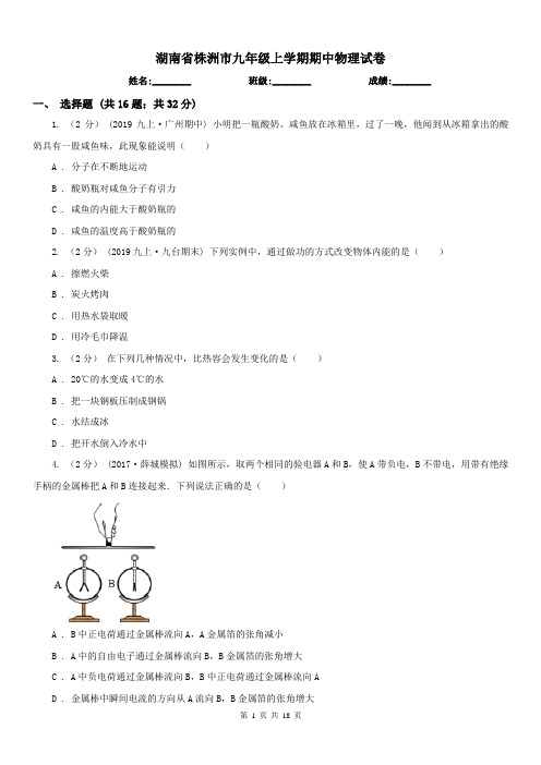 湖南省株洲市九年级上学期期中物理试卷