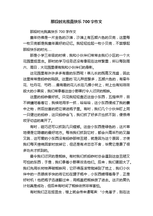 那段时光我真快乐700字作文