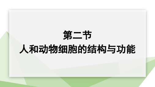 3.2 人和动物细胞的结构与功能 课件 苏教版生物七年级上册